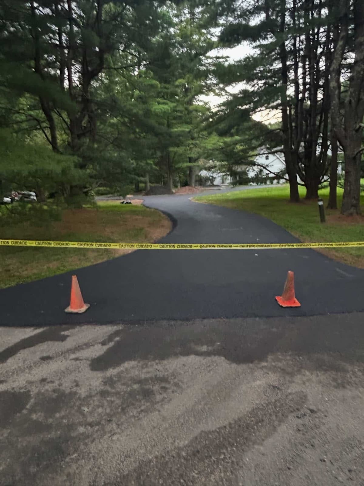 New asphalt driveway winding through pines, coned off while the fresh surface cures