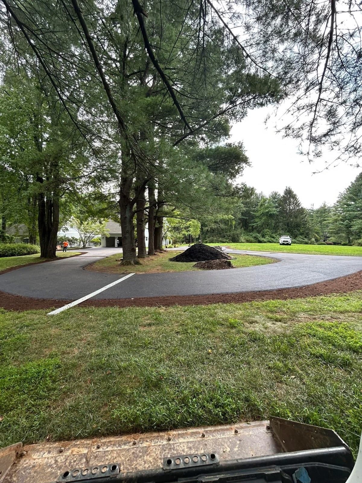 Freshly paved loop driveway wrapping a stand of pines with topsoil-dressed borders